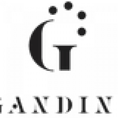 Gandini Juggling - Company - United Kingdom - CircusTalk